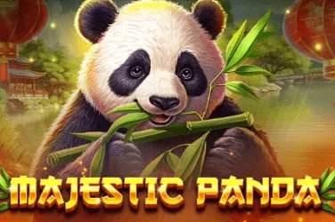 Slot game variety and tournament schedule view